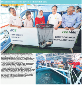 Source:[President witnesses first harvest of offshore fish farm] © Singapore Press Holdings Limited. 